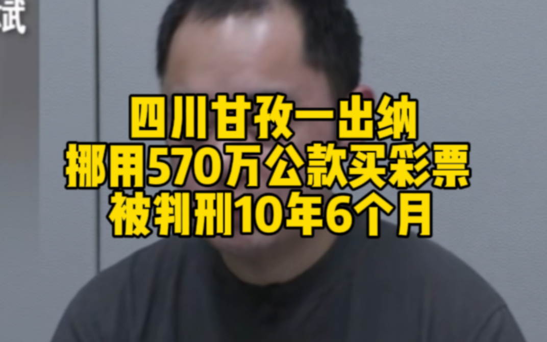 四川甘孜一出纳挪用570万公款买彩票 被判刑10年6个月哔哩哔哩bilibili