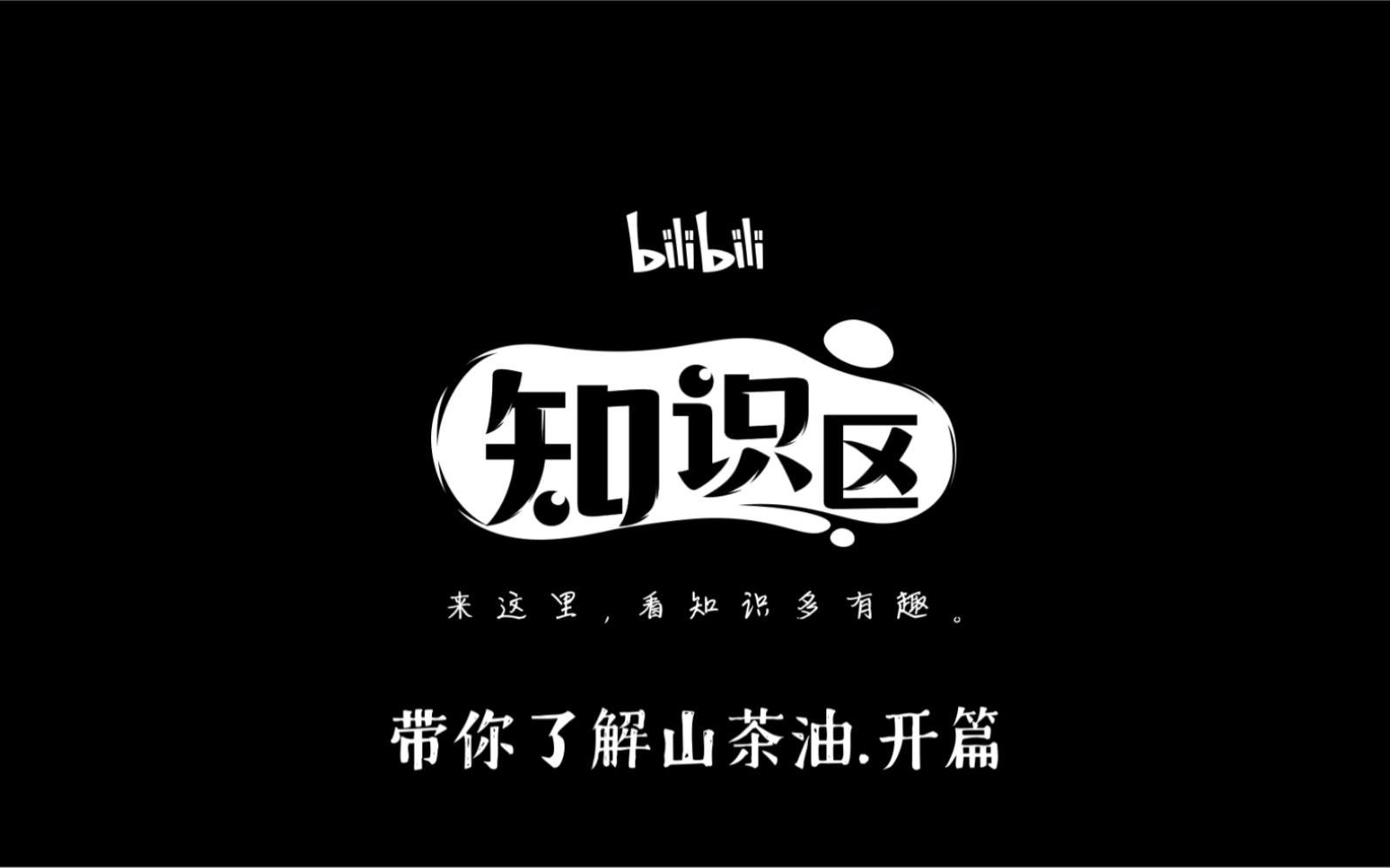 你了解山茶油吗?哔哩哔哩bilibili