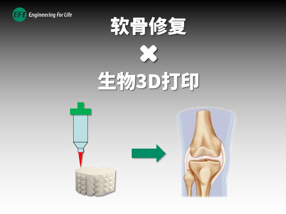 《生物3D打印软骨修复》哔哩哔哩bilibili