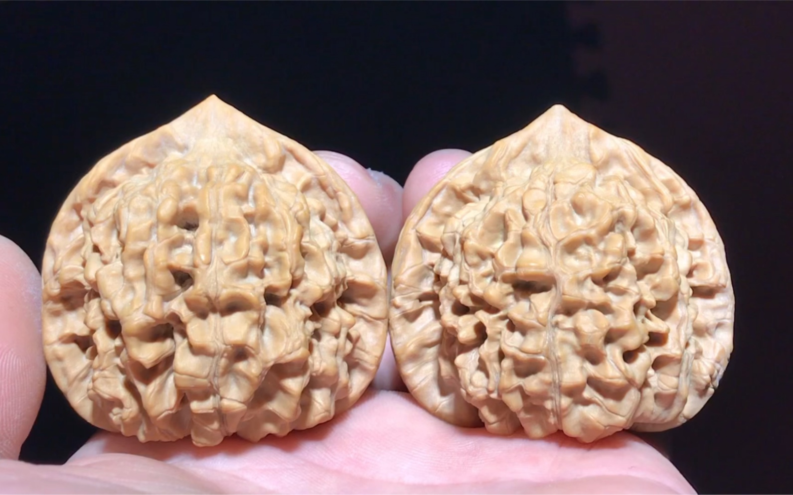 麒麟纹王永官帽狮子头!