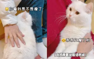 Download Video: 有猫之后，我妈好像不想要我了……