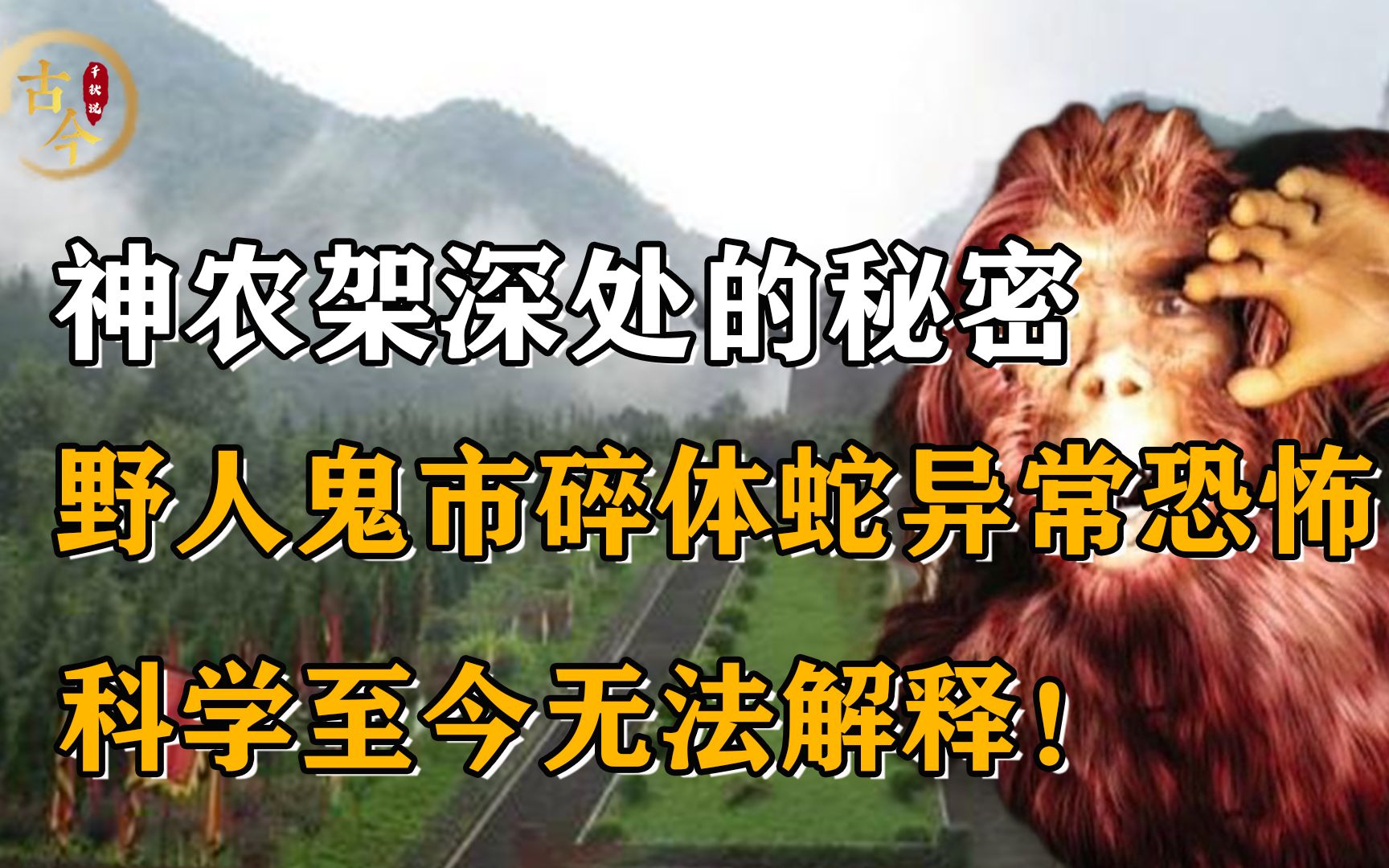 神农架深处为何设立禁区?野人、鬼市、碎体蛇,科学至今无解!哔哩哔哩bilibili