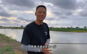 Video herunterladen: 草鱼才4块8一斤，价格还不如十年之前！水产养殖，出路在何方？