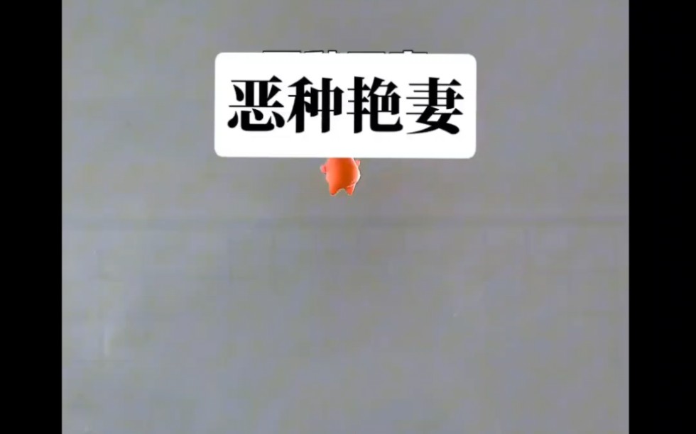 shu名:恶种艳妻#吱乎看全文#小说推文哔哩哔哩bilibili