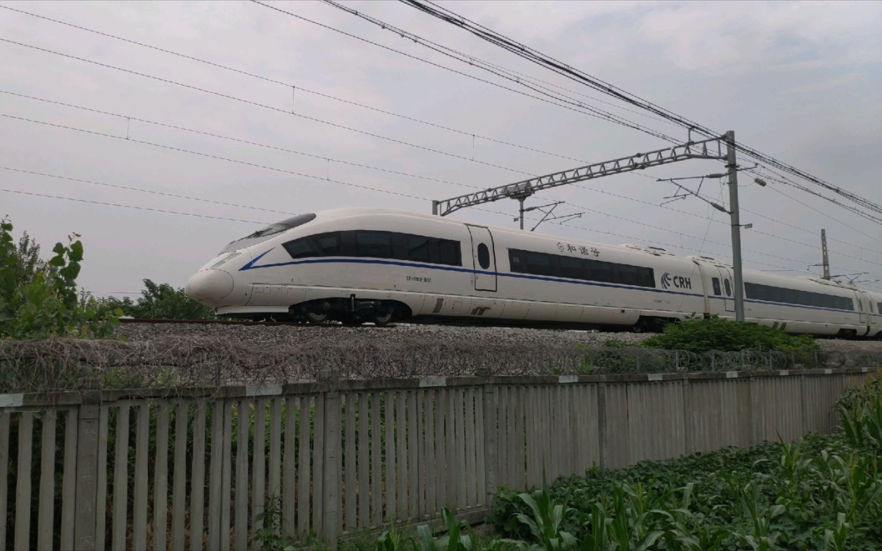 8月29日摄 g7580 黄山北—扬州 crh380b-3652