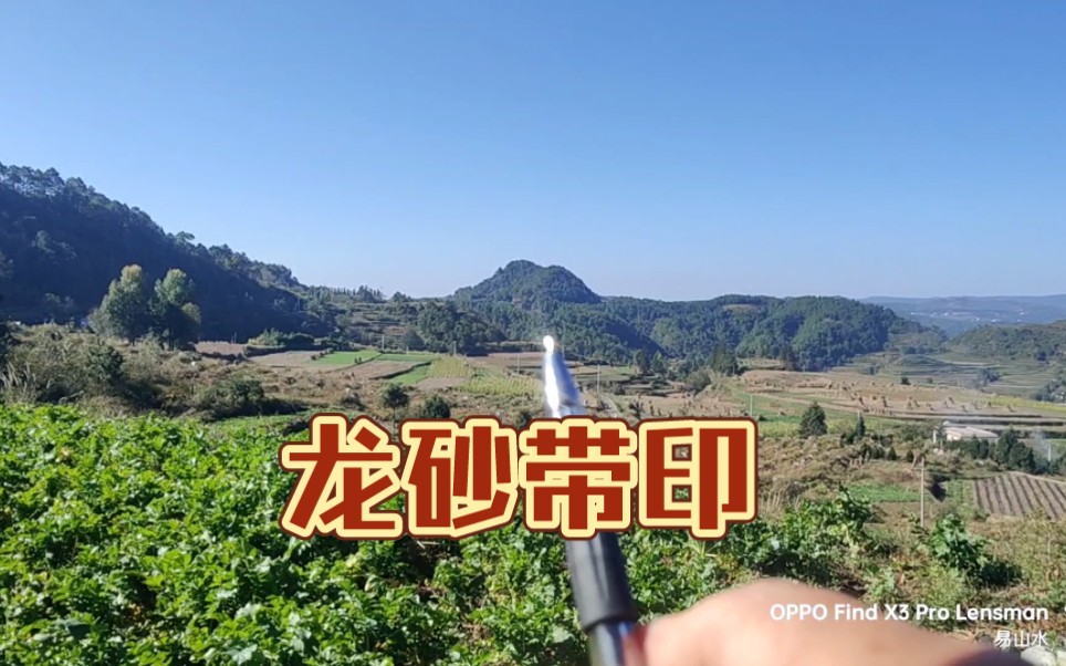 出大官的房后就有好地:龙虎有情申峰为用!哔哩哔哩bilibili