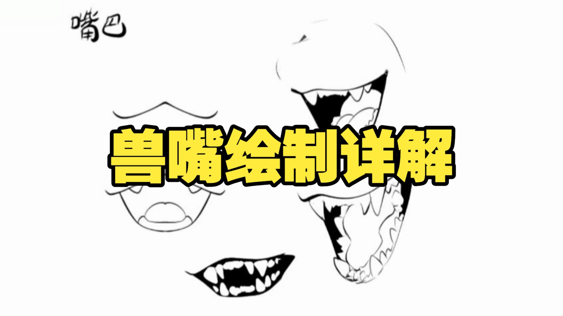 兽类嘴部画法讲解—by:阿莫