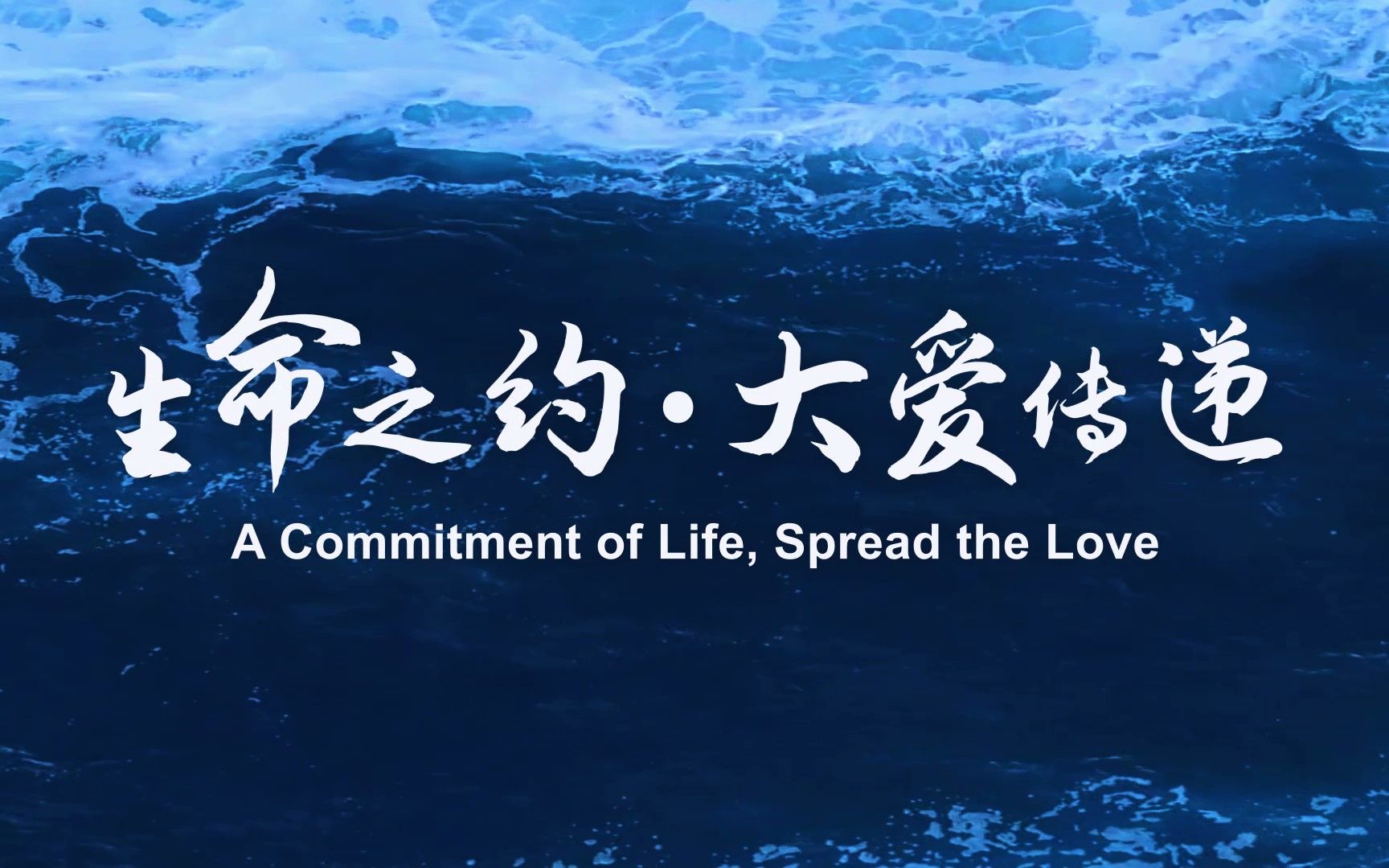 《生命之约61大爱传递》——中国人体器官捐献管理中心