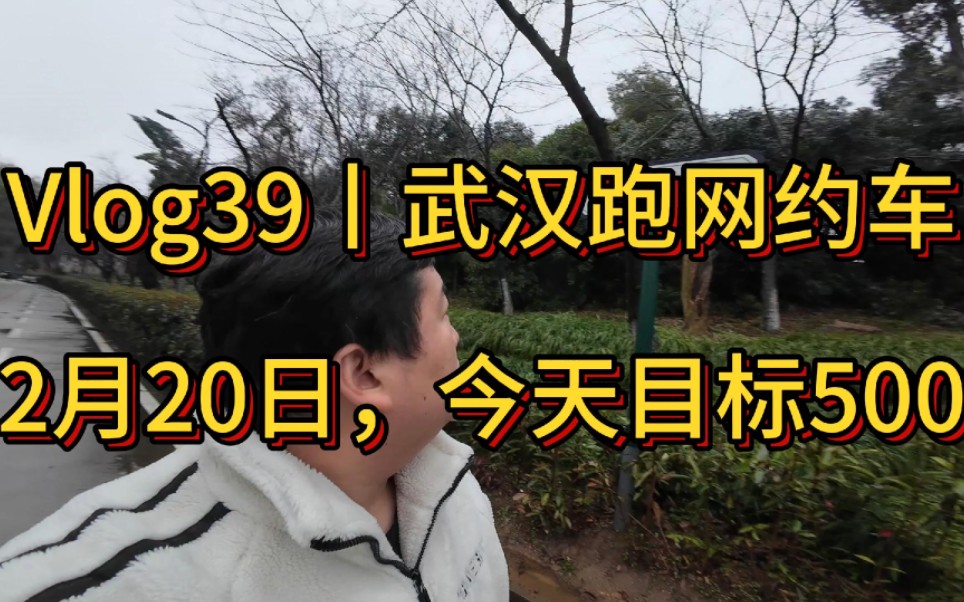 Vlog丨大型记录片《小强在武汉跑网约车》39,替你们去看看武大樱花开了没,今天冲刺500流水!哔哩哔哩bilibili