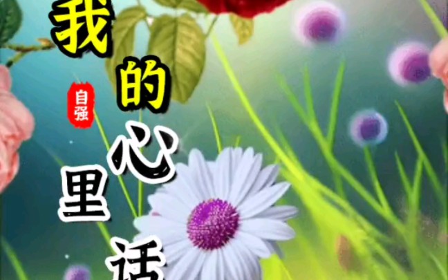 说说心里话!鼓励自己!