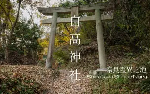 Download Video: 【奈良废弃神社：白高神社】巫女修行之地｜奈良最具灵异色彩的地方｜寻找岛国日本最具色彩的景色，神社，寺庙，鸟居，古城，山峰