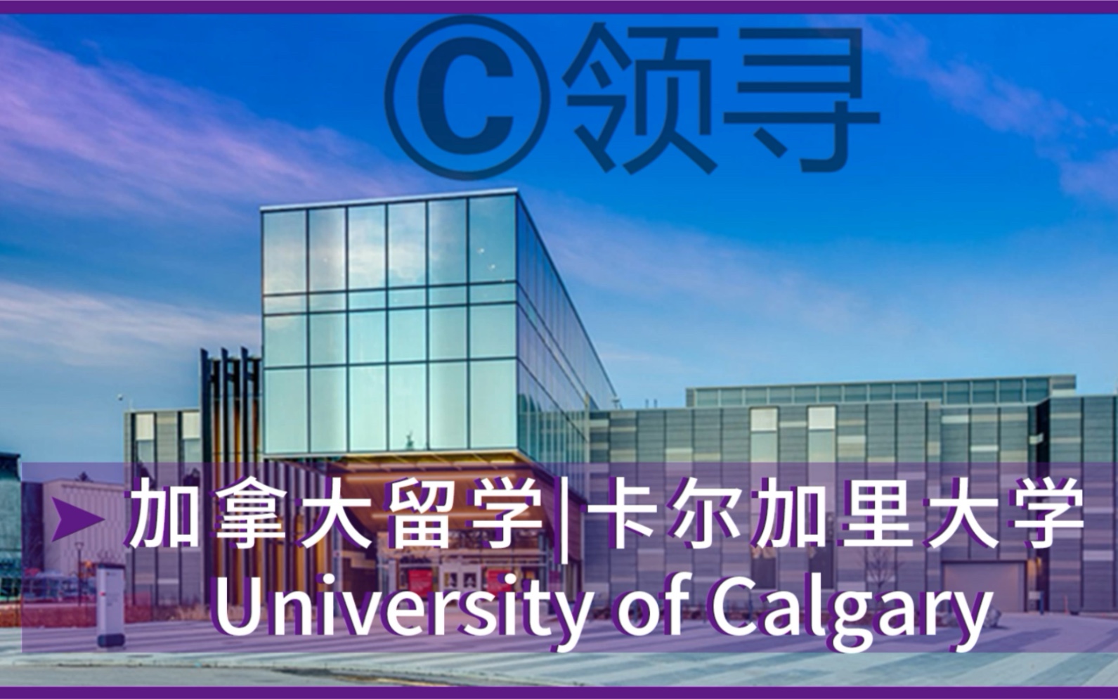 加拿大留学|卡尔加里大学 University of Calgary哔哩哔哩bilibili