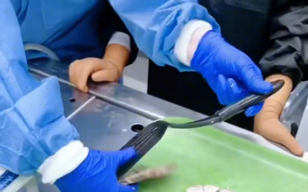 尸变图鉴 #法医科普 #现场实拍 #解剖