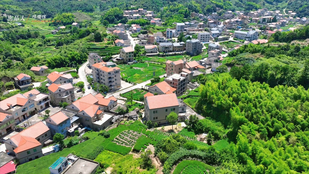 福建省厦门市同安区莲花镇的军营村, 在明末清初时期,这里曾是军营