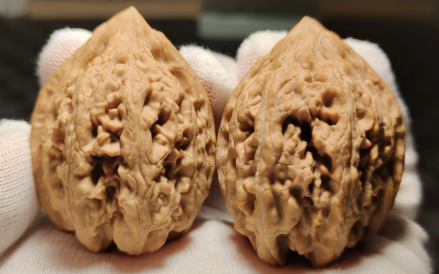 周末福利 拍对大沽石