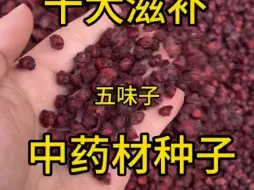 Video herunterladen: 十大滋补类中药材