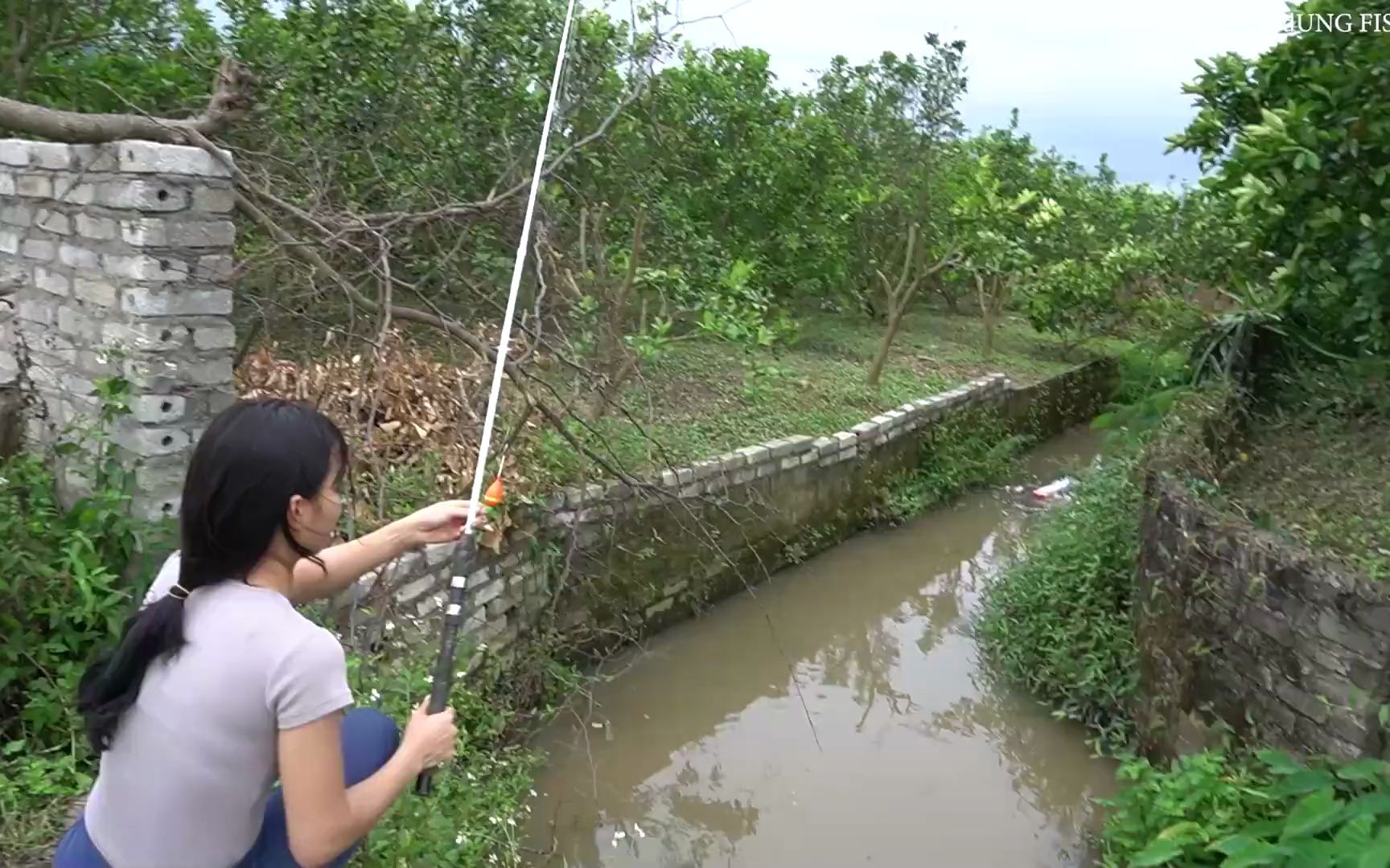 小河沟里藏着惊喜,这里的资源还不错哔哩哔哩bilibili