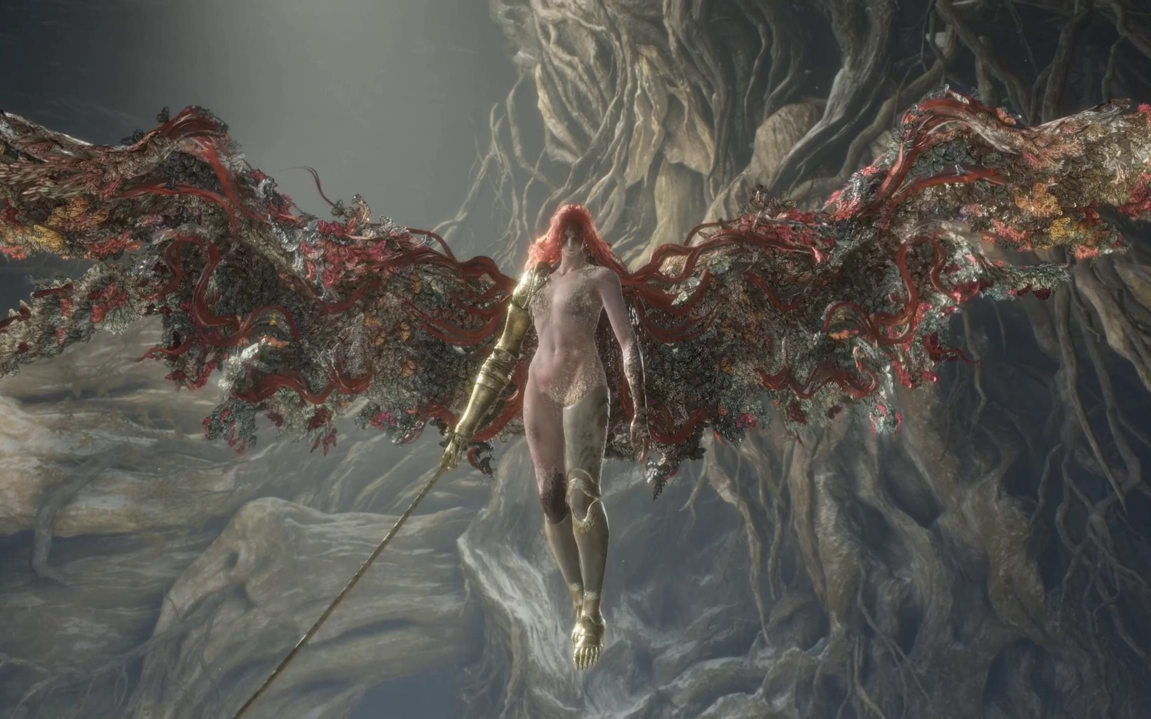 艾尔登法环刚转职成出血流战士初见女武神到击杀就当试刀了