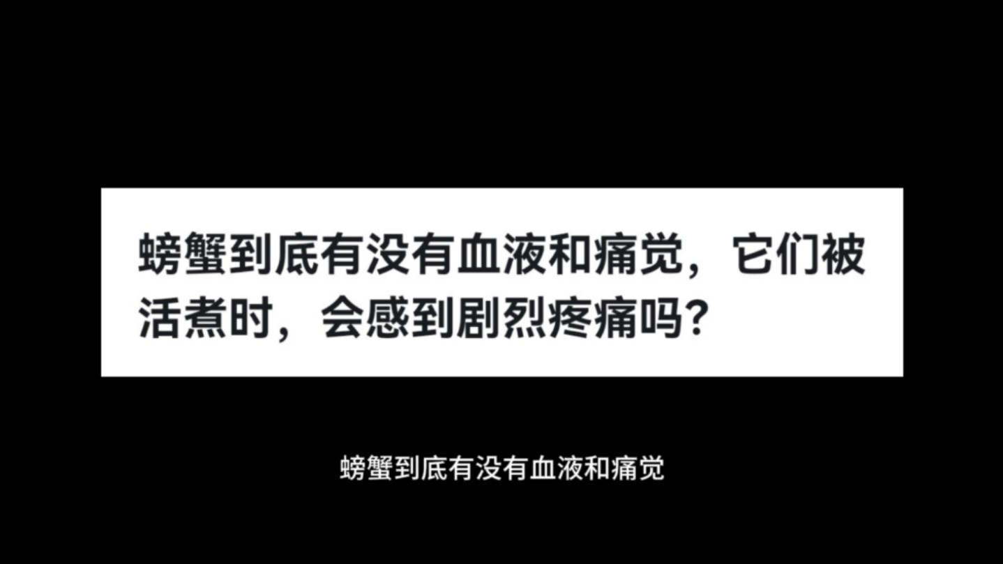 螃蟹到底有没有血液和痛觉,它们被活煮时,会感到剧烈疼痛吗?哔哩哔哩bilibili