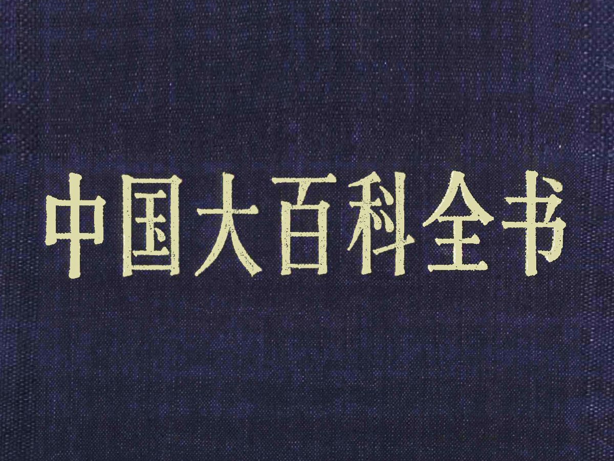 《中国大百科全书》是中国第一部大型综合性百科全书哔哩哔哩bilibili