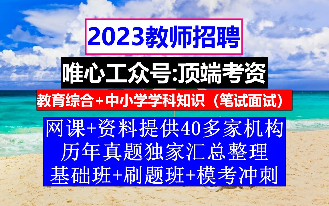 教师招聘小初高美术,教师公招考试时间,教师招聘条件哔哩哔哩bilibili