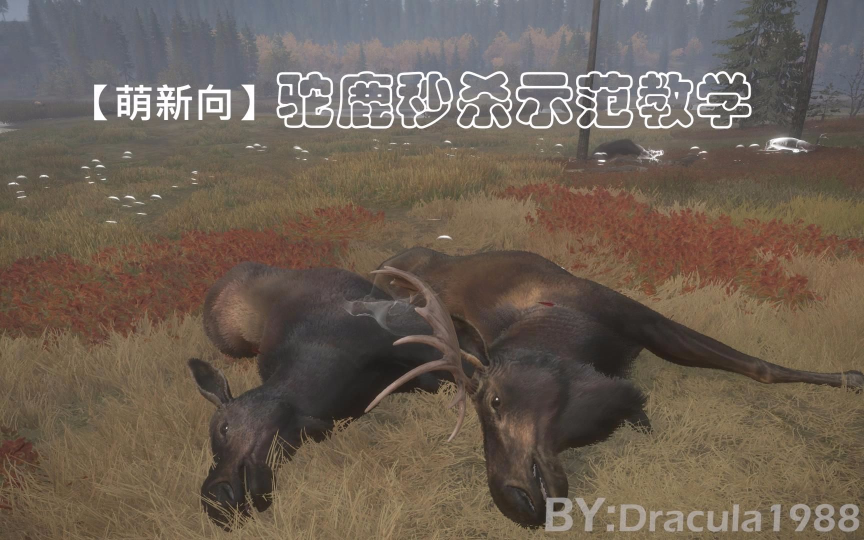 【枯木不哭】《猎人 荒野的呼唤》驼鹿秒杀示范教学