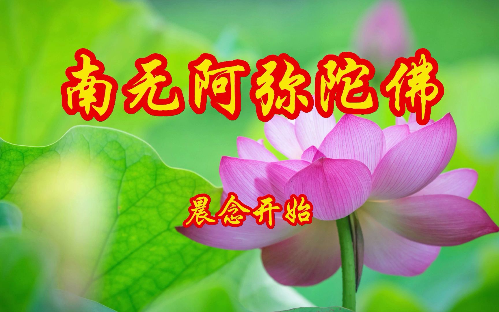 诚心聆听20分钟《南无阿弥陀佛》愿家人朋友身体健康,平平安安
