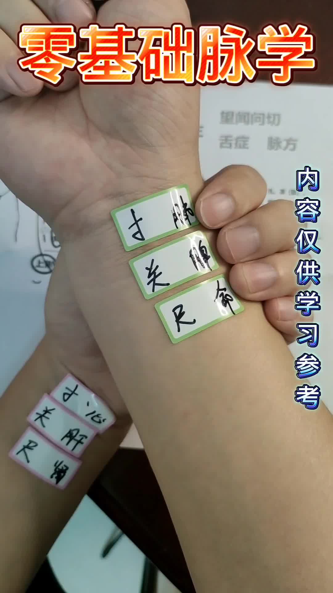 零基础脉学 简单了解哔哩哔哩bilibili