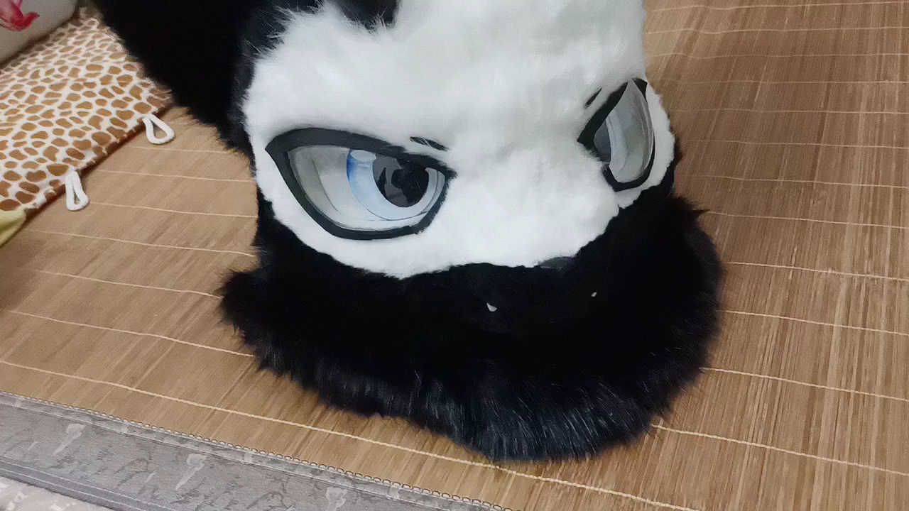 【fursuit獸裝展示】是隻帥氣的斷角