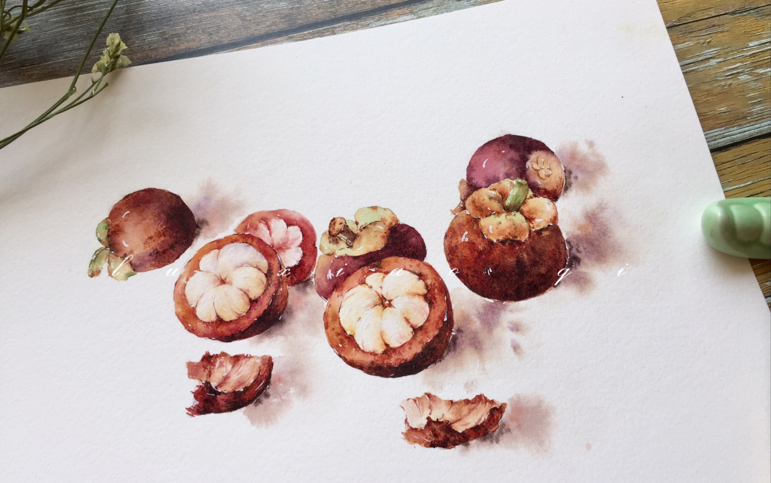 【水彩】山竹手绘过程教程_哔哩哔哩_bilibili