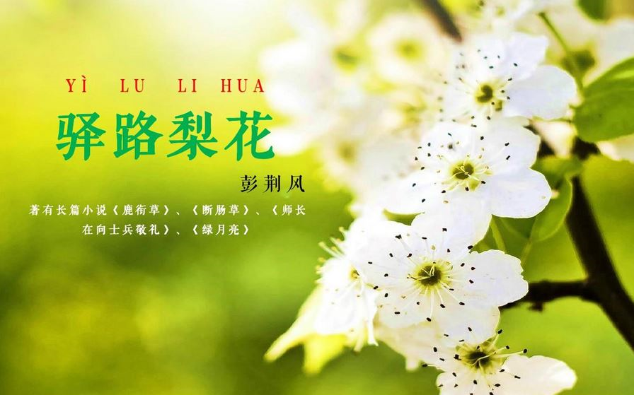 【课件】《驿路梨花-彭荆风》部编人教版七年级语文下册yw07b-087-kj