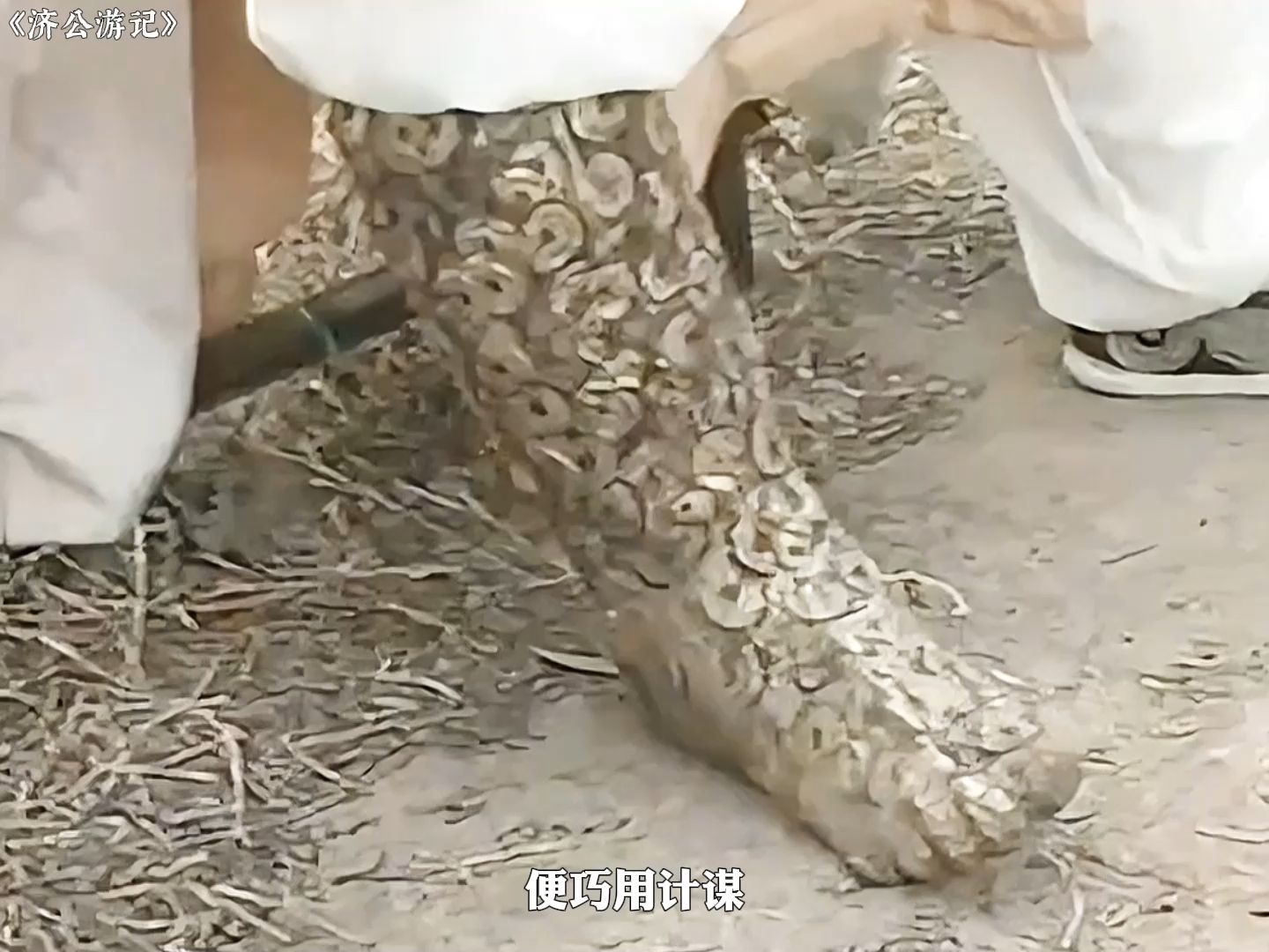 恶霸拦桥收过路费,济公设计给他装了个铜钱腿