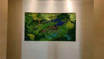 老师傅展示如何做水泥漆，各颜色水泥涂料的做法，长见识了
