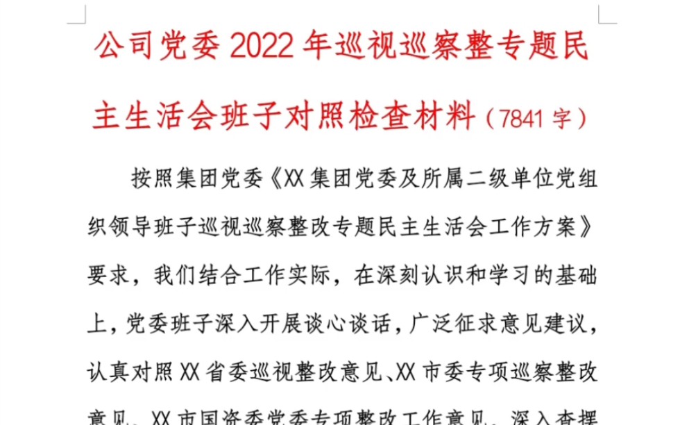 公司党委2022年巡视巡察整专题民主生活会班子对照检查材料哔哩哔哩bilibili