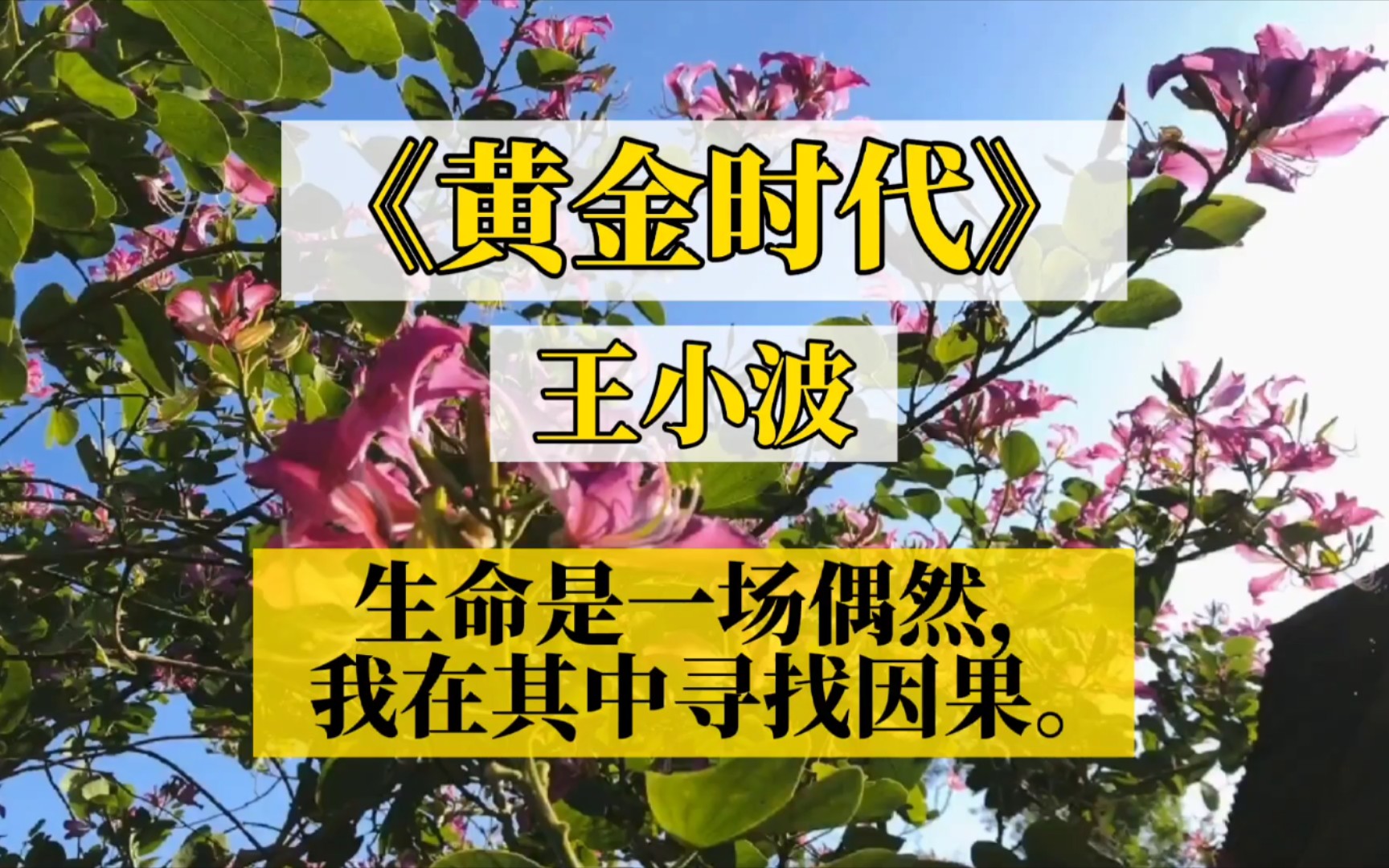 【书摘】王小波《黄金时代》:生命是一场偶然,我在其中寻找因果.哔哩哔哩bilibili