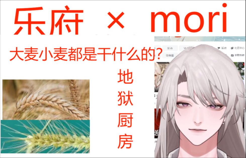 乐府 大麦和小麦是干什么的???哔哩哔哩bilibili