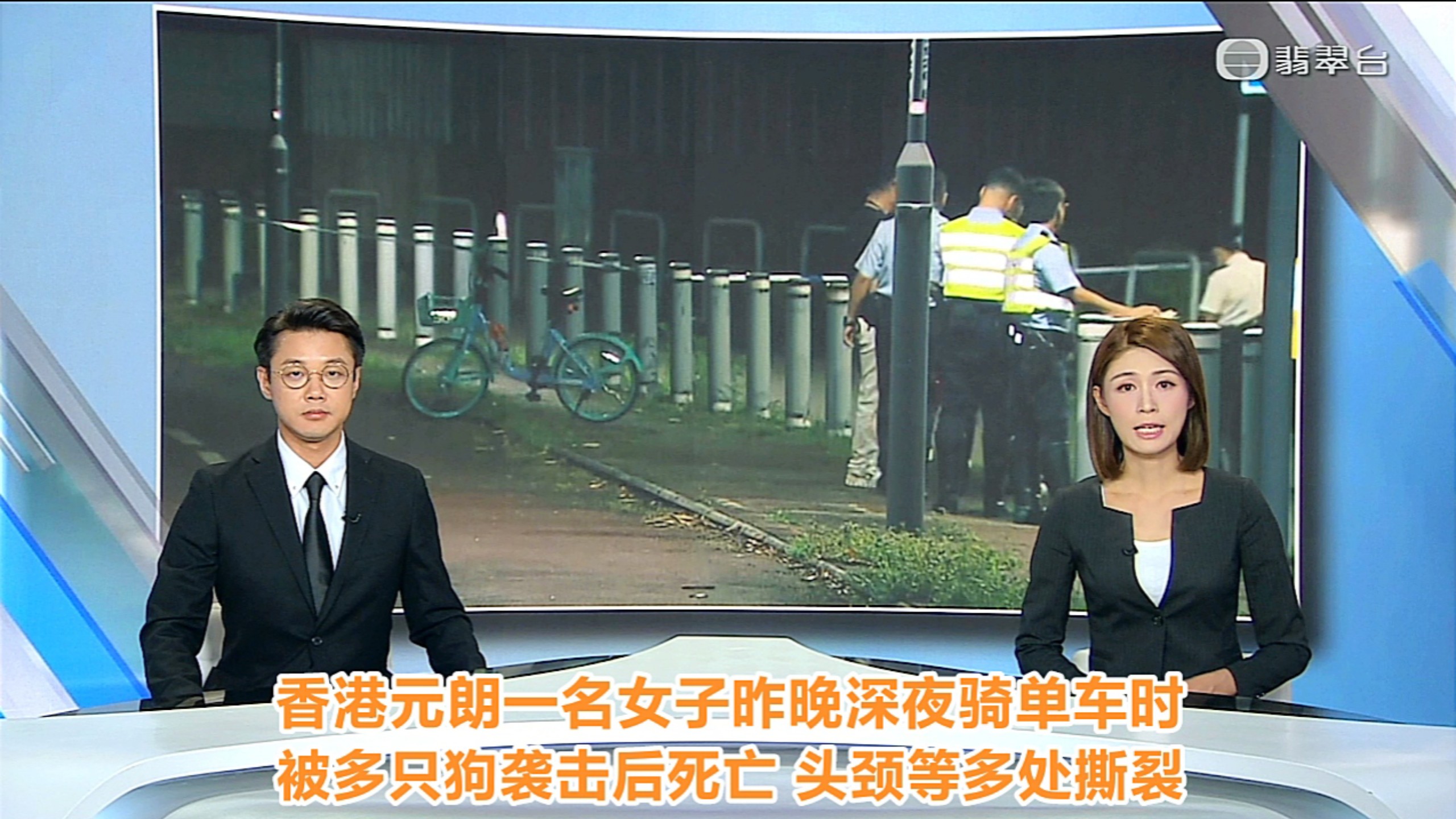 【TVB翡翠台】六点半新闻:香港元朗一名女子昨晚深夜骑单车时 被多只狗袭击死亡！
