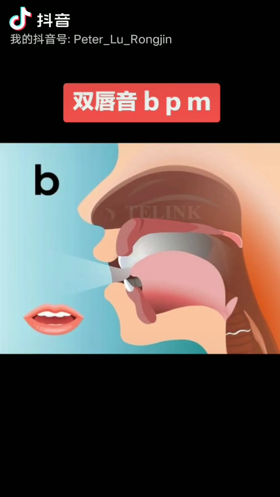 [图]声母第1集：双唇音：b p m