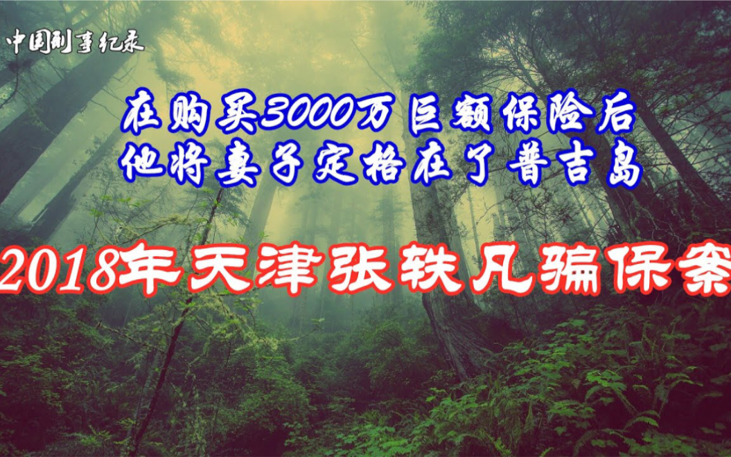 在购买了3000万巨额保险后 他将妻子永远定格在了泰国普吉岛 2018年天津张轶凡骗保案哔哩哔哩bilibili