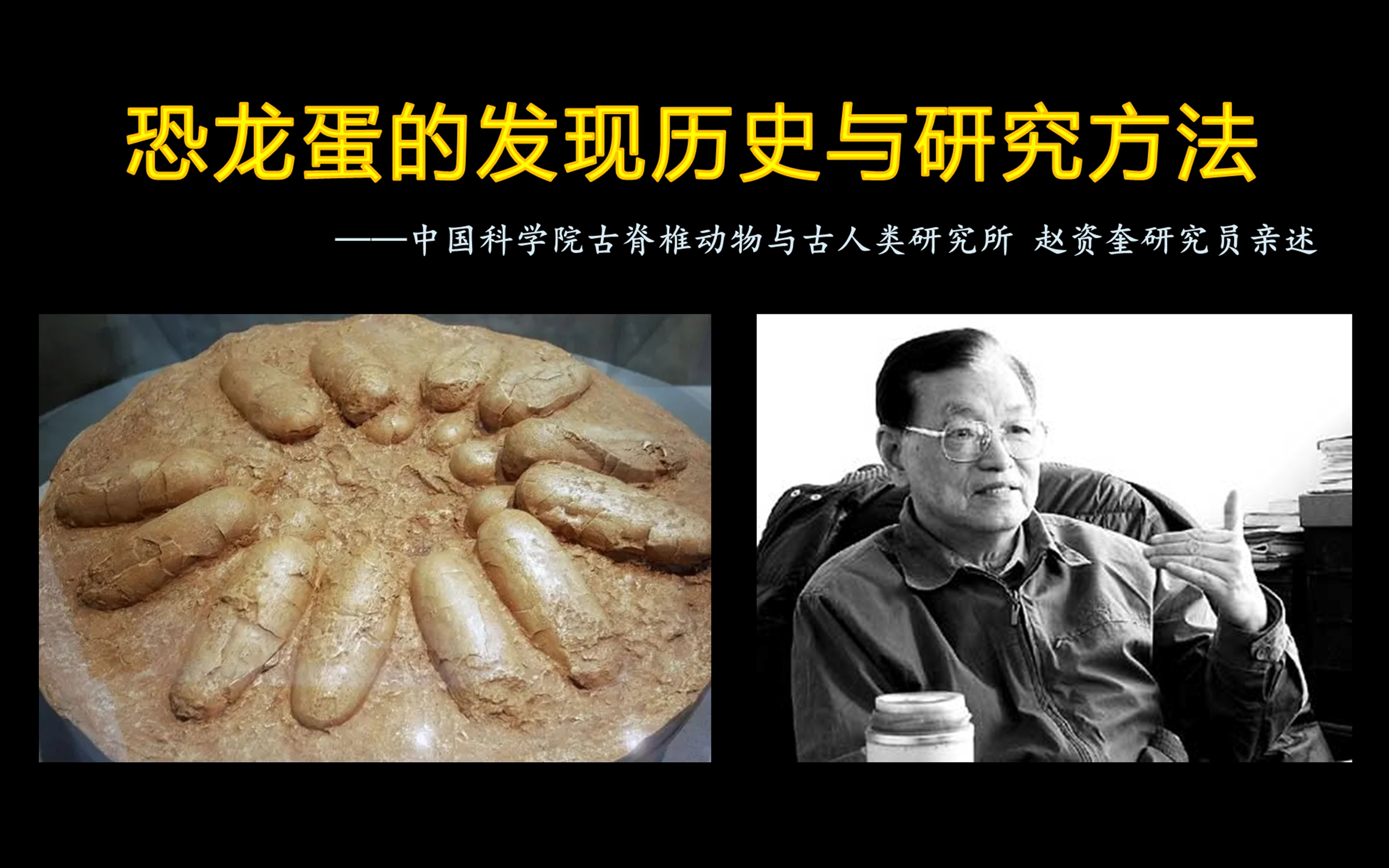 【古生物科普】恐龙蛋的发现历史与研究方法哔哩哔哩bilibili