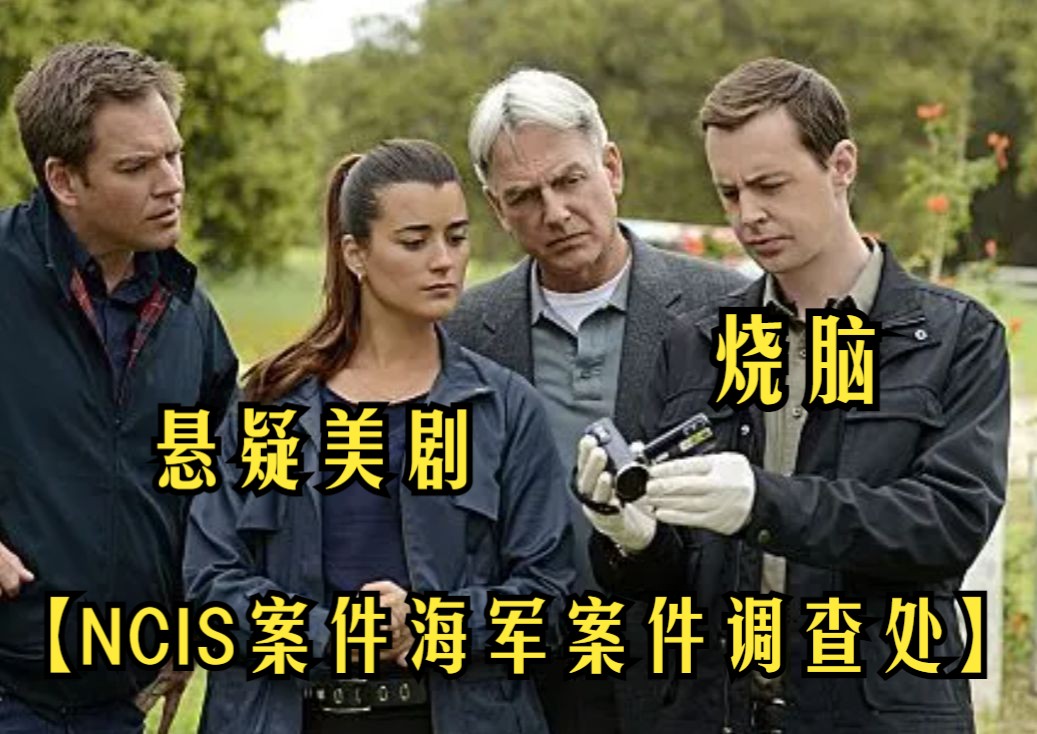 一口看完经典悬疑美剧【NCIS案件—海军案件调查处】不只调查刑事案件,不只是联邦警察哔哩哔哩bilibili