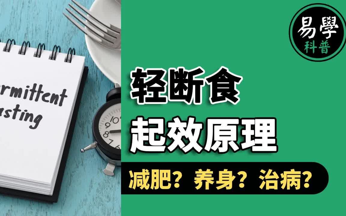 轻断食 间歇性断食,为什么适当挨饿会有益健康,缓解多种疾病?p哔哩哔哩bilibili