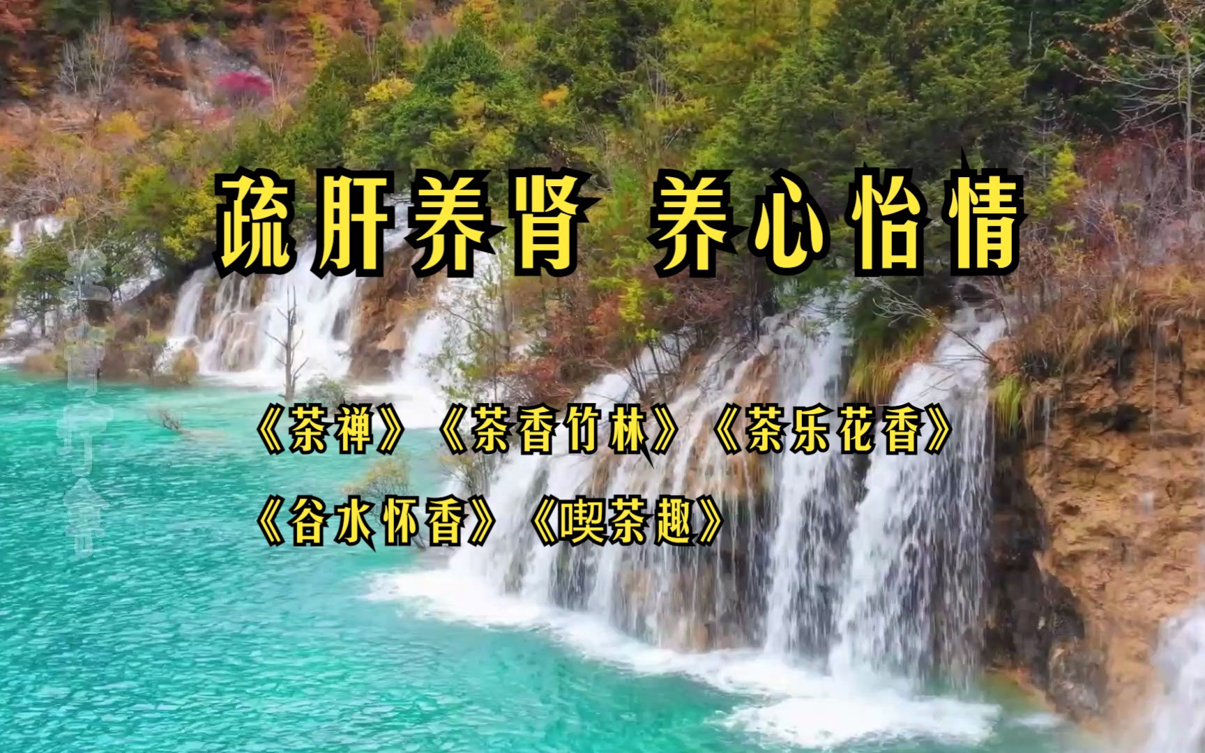 疏肝养肾音乐60分钟 养心怡情,缓解焦虑,放松减压,安神助眠《茶禅/茶香竹林/茶乐花香/谷水怀香/吃茶趣》哔哩哔哩bilibili