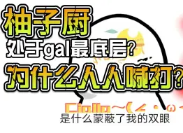 Descargar video: 【清流/galgame杂谈】为什么说柚子厨人人喊打 柚子厨是否处于gal的最底层？