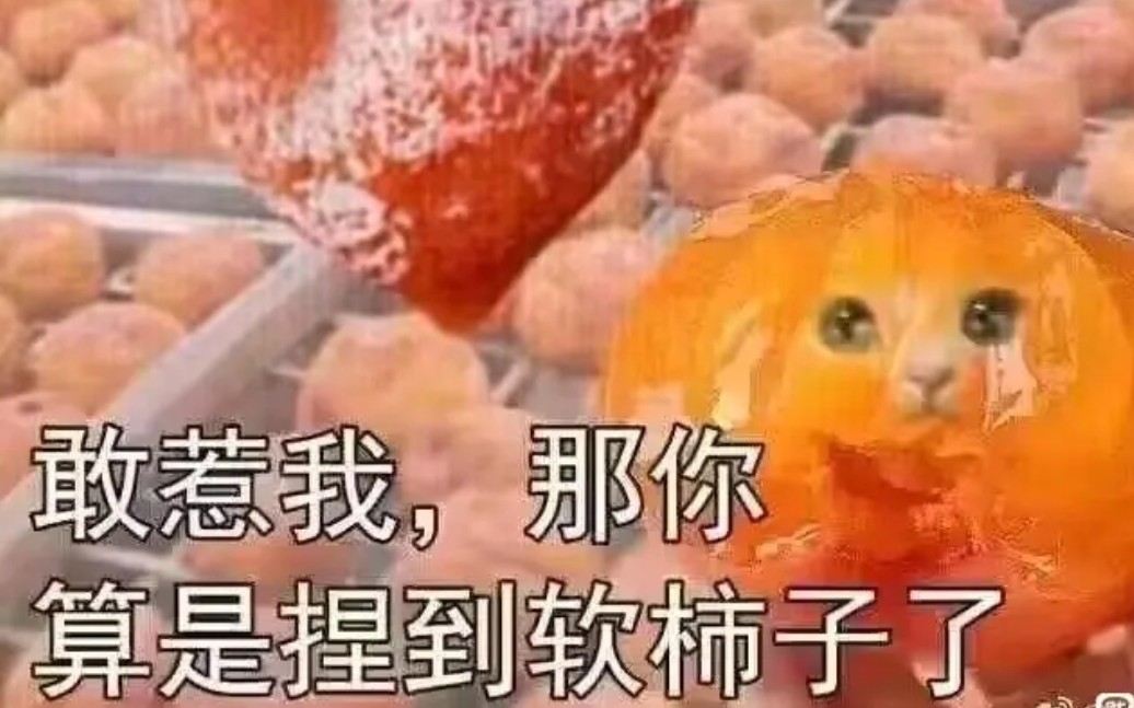 【斯普拉遁3】小开不算开