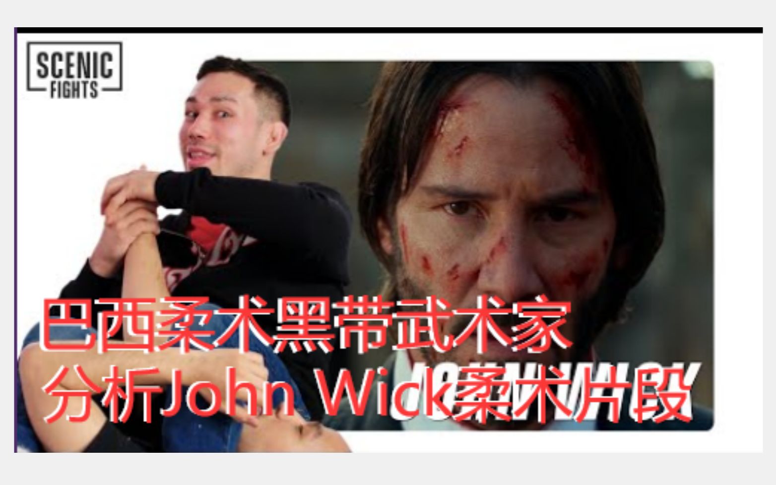 BJJ黑带【专家点评电影】分析John Wick柔术片段哔哩哔哩bilibili