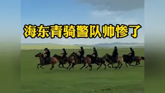 海东青骑警队帅惨了