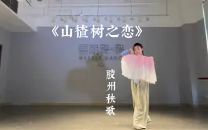 Download Video: 《山楂树之恋》胶州秧歌-翻跳（舞者之声）