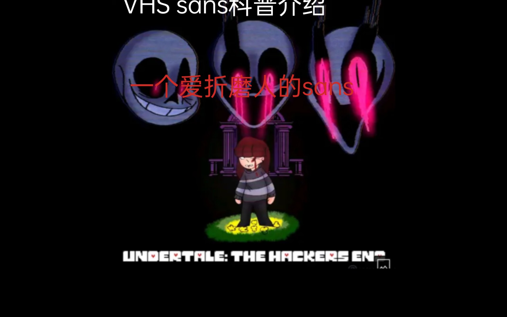 vhs sans科普介绍