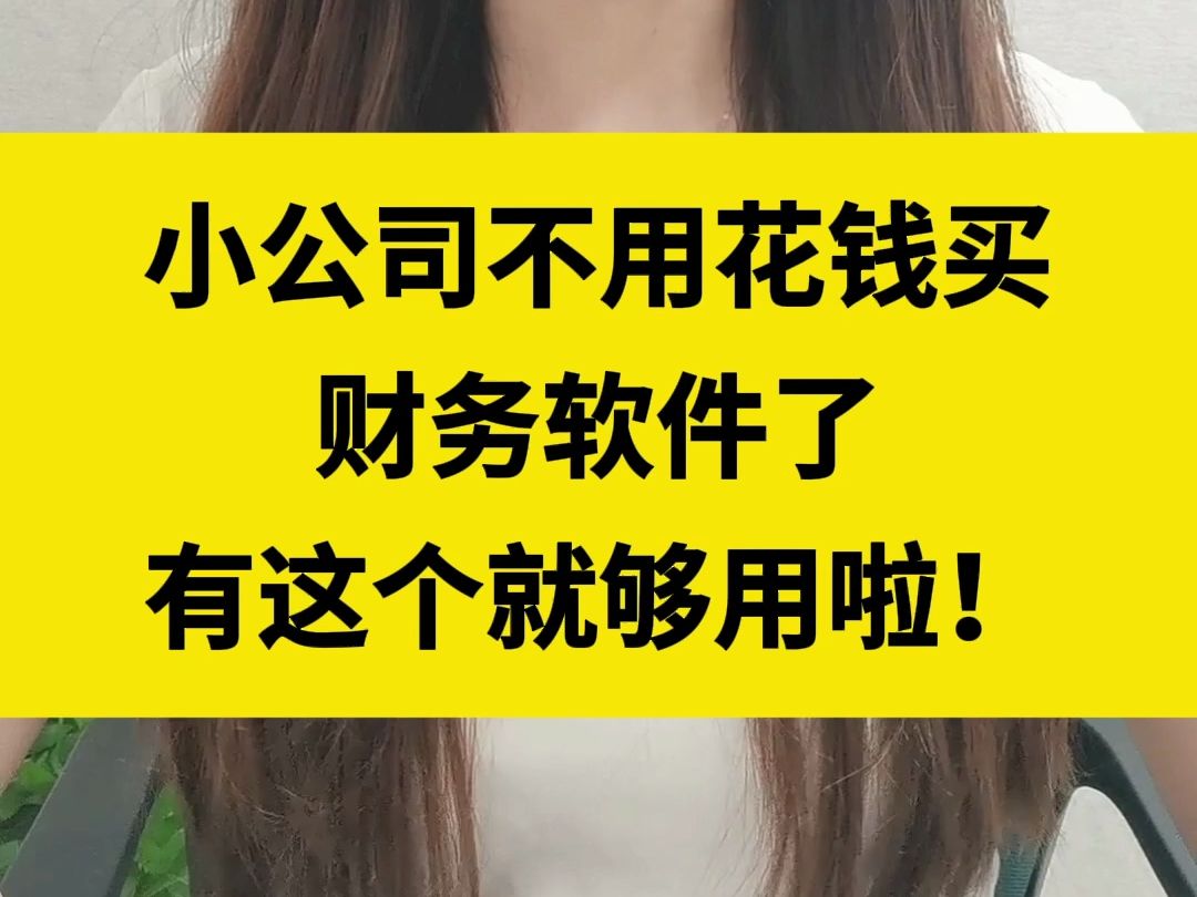 小公司不用再花钱买财务软件了,有这个调试好的就够用了! 超级方便!哔哩哔哩bilibili